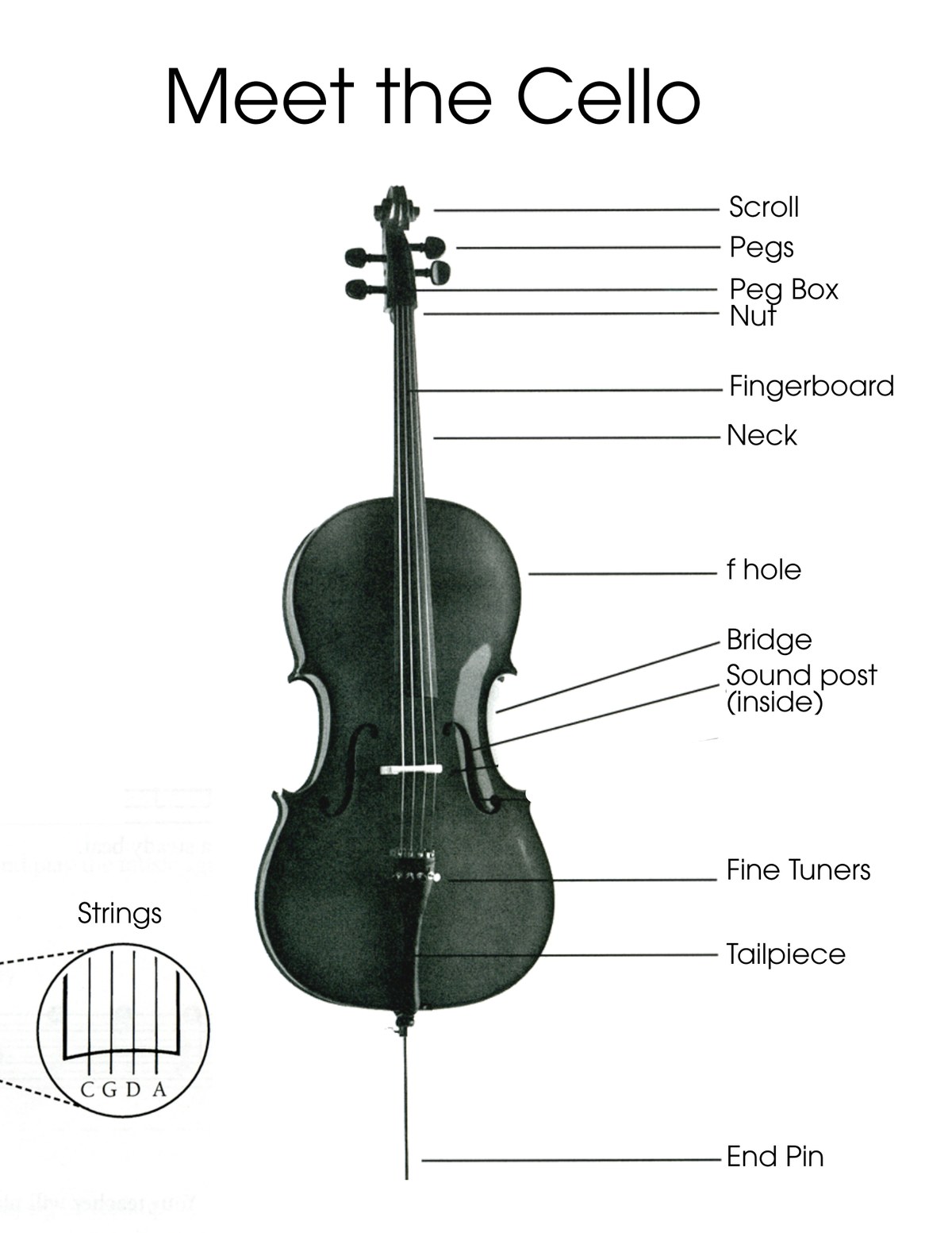 Meet the Cello instrument diagram